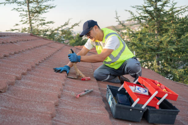 Best Gutter Installation and Roofing  in Rochester, PA
